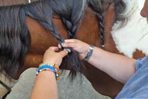 Vorschaubild 20230720_142509.jpg