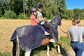 Vorschaubild IMG-20220730-WA0005.jpg