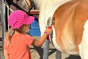 Vorschaubild IMG-20220730-WA0007.jpg