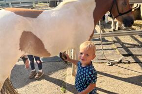 Vorschaubild IMG-20220730-WA0008.jpg