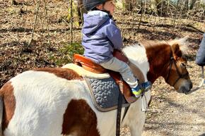 Vorschaubild IMG-20230404-WA0024.jpg