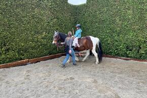 Vorschaubild IMG-20250413-WA0004.jpg