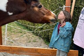 Vorschaubild IMG-20250413-WA0007.jpg