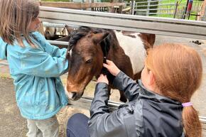 Vorschaubild IMG-20250413-WA0011.jpg