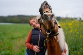 Vorschaubild img 20250213 wa0010